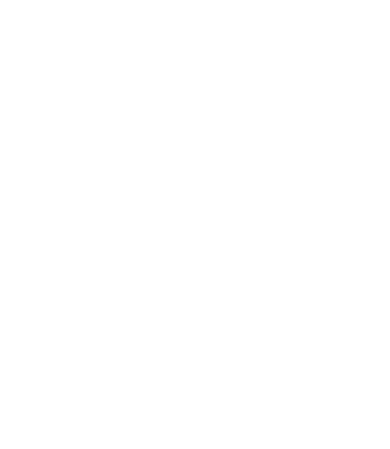 VIMAN